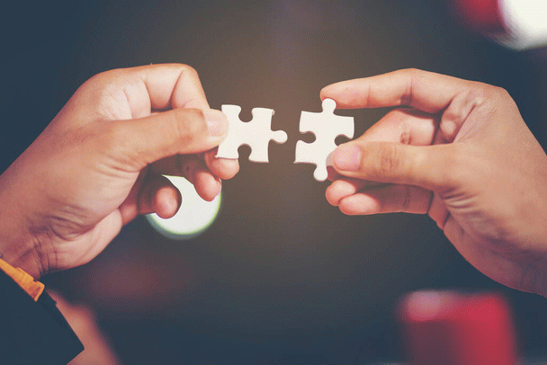 چرا گربه من گاز می‌گیرد؟ 16 نکته، 2 علت و 6 راه حل