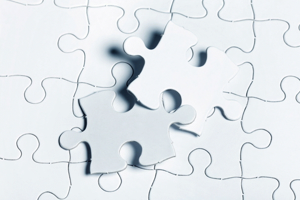 18 دلیل عطسه سگ که باید بدونی!